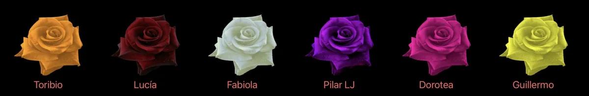 Rosas eternas