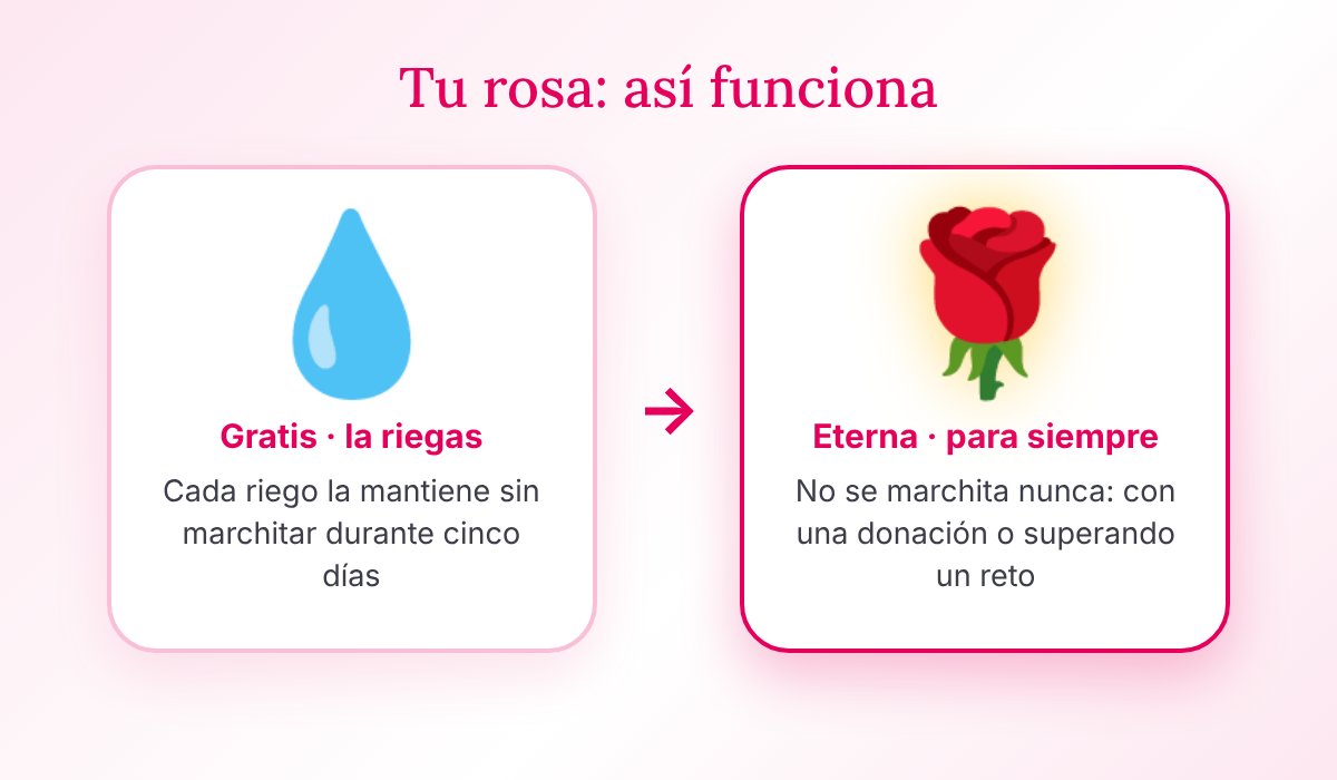 Cómo funciona una rosa virtual en enviaunarosa.com: gratis · la riegas y eterna · para siempre