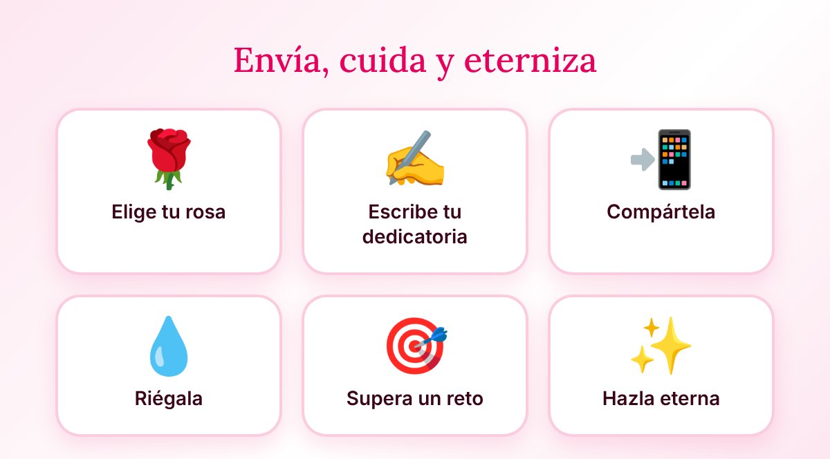 Envía, cuida y eterniza: Elige tu rosa, Escribe tu dedicatoria, Compártela, Riégala, Supera un reto, Hazla eterna